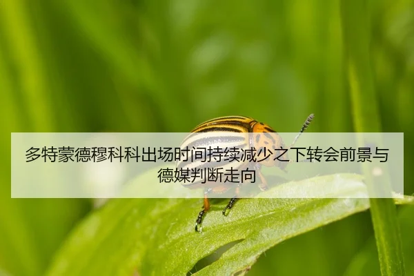 多特蒙德穆科科出场时间持续减少之下转会前景与德媒判断走向